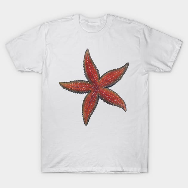 Common Sea Star Lg T-Shirt by JadaFitch